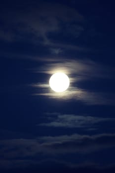 Moonshine