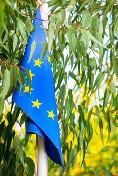 EU flag among the leaves of the tree