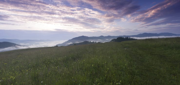 evening mountain plateau landscape (Carpathian, Ukraine) 