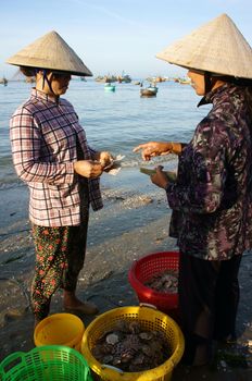 PHAN THIET- VIETNAM- JAN 21:  Seafood market on beach, people trader fishing product in morning, boat on water,  woman buy and sell fresh food, Viet Nam, Jan 21, 2014