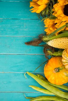 Farm fresh organic vegetables on rustic wooden blue table background