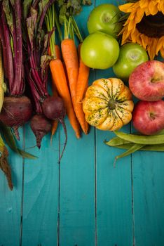 Farm fresh organic vegetables on rustic wooden blue table background