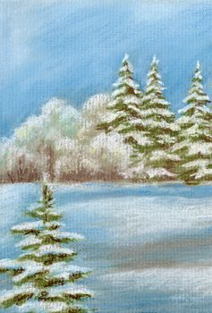 Picture, pastel painting, winter landscape, forest with coniferous trees