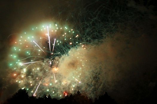 Celebrating firework in the black night sky