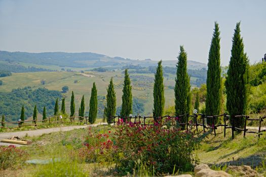 Photo shows a general view onto the Tuscany landscape.