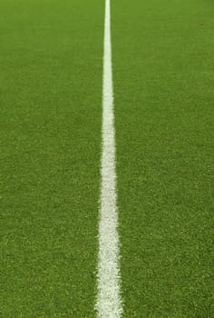 Soccer field grass line on the green