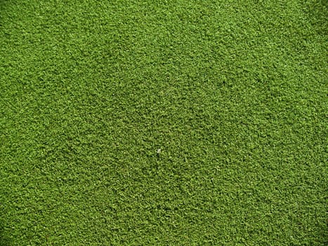 Soccer field grass on the green texture