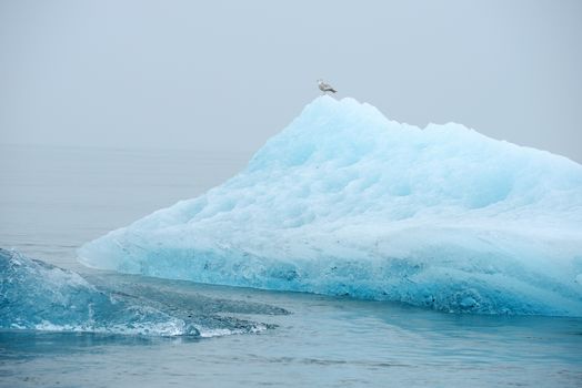 blue iceberg floating in alaska