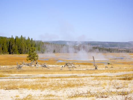 Steam rises over Yellowstone thermal springs area