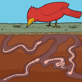 Happy red bird pecking ground with tunnelling earthworms