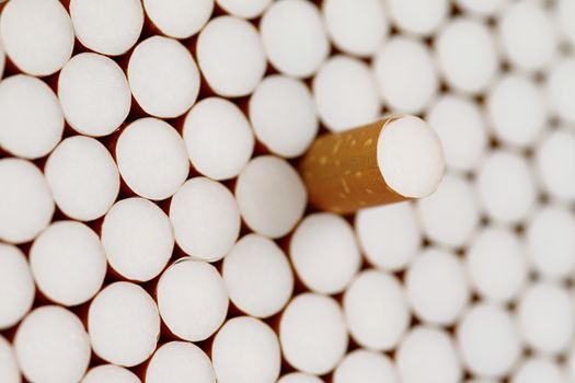 Detail of the heap of filter cigarettes