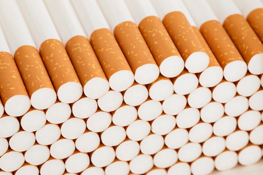 Detail of the heap of filter cigarettes
