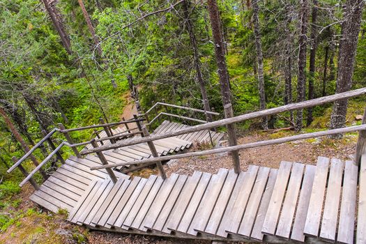 Wooden stairs in the forest