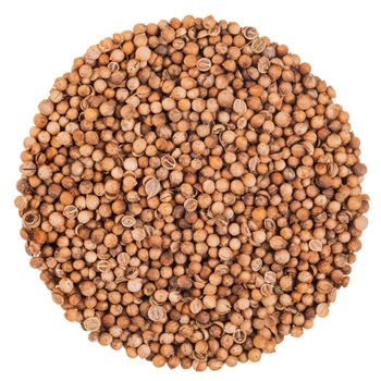 Perfect Circle of Coriander Seeds Extreme Closeup Isolated on White Background
