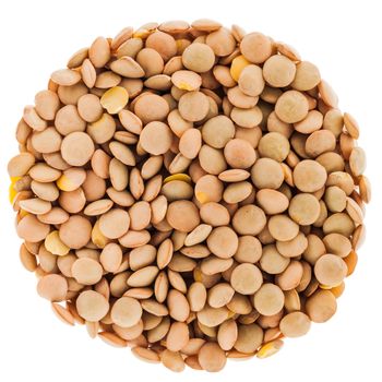 Perfect Circle of Lentils Isolated on White Background