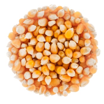 Perfect Circle of Unpoped Corn Seeds Isolated on White Background