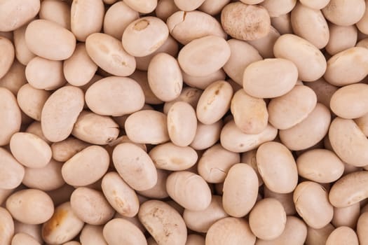 Extreme Closeup Macro Texture of Beige Beans