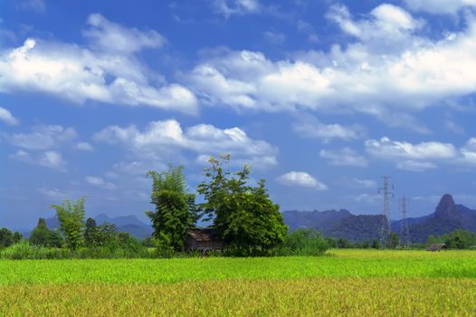 Hidden Among Trees. Khammouane Province of Laos. 