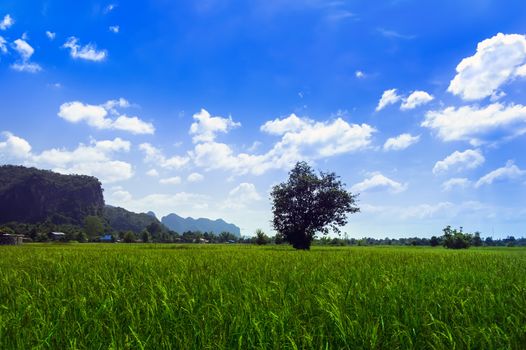 Meadows and Hills of Laos. Khammouane province. 