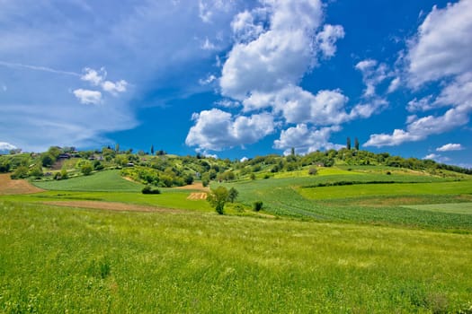 Idyllic africultural green landscape of Croatia, region of Prigorje