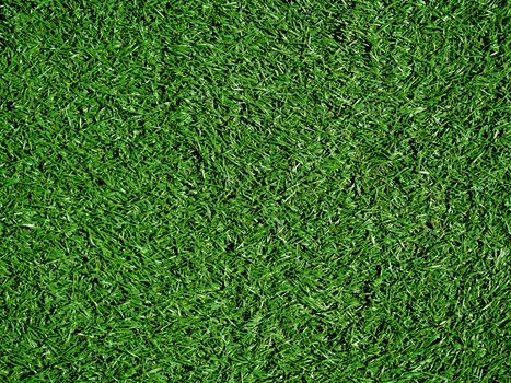 Artificial Grass Field Top View Texture