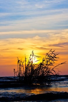 Silhouettes on sunset at southern lake Thailand.