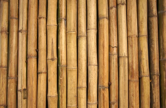 Bamboo wall