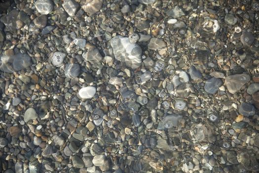 Gray pebble ground under the clear water