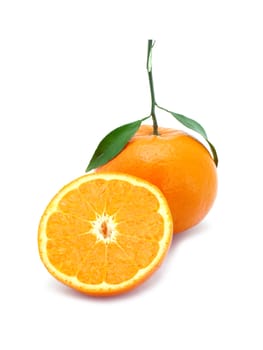 Fresh Orange Fruits