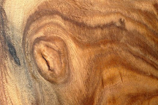 texture of wood for furniture making