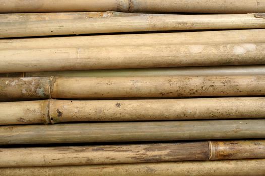 Bamboo for furniture making