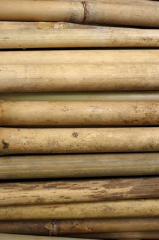 Bamboo for furniture making