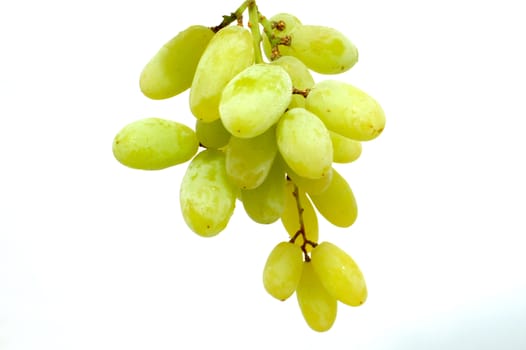 Yellow grape isolated