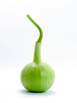 The green gourds on a white background.