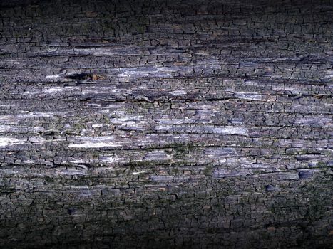 wood texture with natural patterns