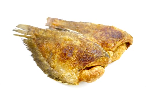 fried fish on white