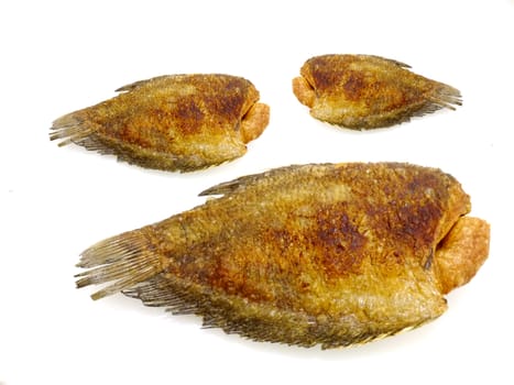fried fish on white