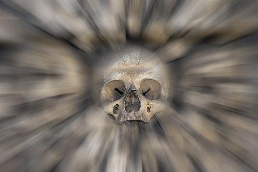 Abstract image of the human skull - blured - fear and trembling