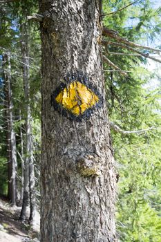 LA FOULY, SWITZERLAND - AUGUST 30: Mont Blanc tour logo painted on trees on the route. The popular tour goes through three countries and is clearly signalised throughout. August 30, 2014 in La Fouly.