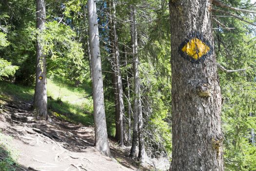 LA FOULY, SWITZERLAND - AUGUST 30: Mont Blanc tour logo painted on trees on the route. The popular tour goes through three countries and is clearly signalised throughout. August 30, 2014 in La Fouly.