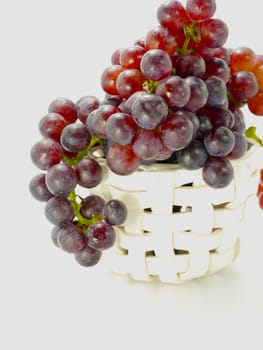 Small grape varieties for wine making.