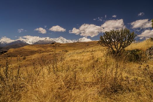 Panoramic view of the meadows in Cordillera Negra, Peru