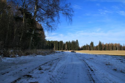 Photo presents winter countryside with snow, trees and blue sky in the Czech republic.