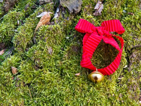 Photo shows detail of jingle bell with red ribbon in the wood