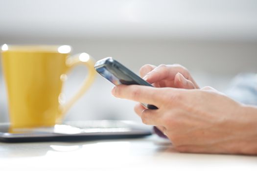 Hands of woman sending SMS via smartphone at lunch