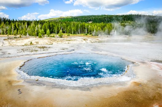 Landscape view of geothermal Crested pool in Yellowstone NP, Wyoming, USA