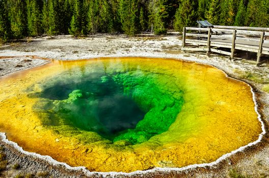 Detail view of geothermal pool Morning glory in Yellowstone NP, Wyoming, USA