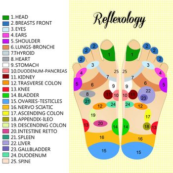 Foot reflexology chart