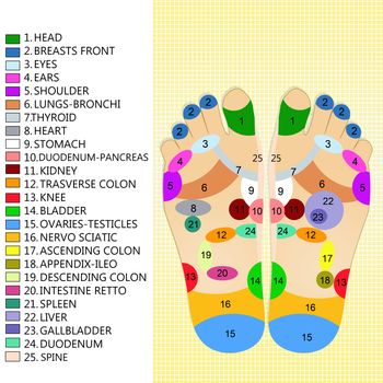 illustration of reflexology