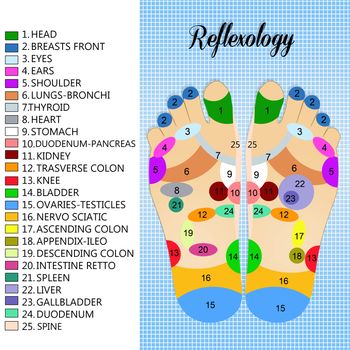 illustration of reflexology